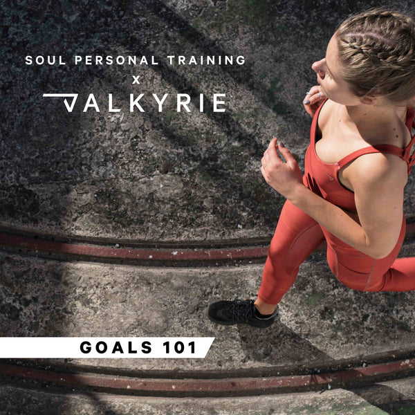 Soul x Valkyrie: Goals 101 Workshop